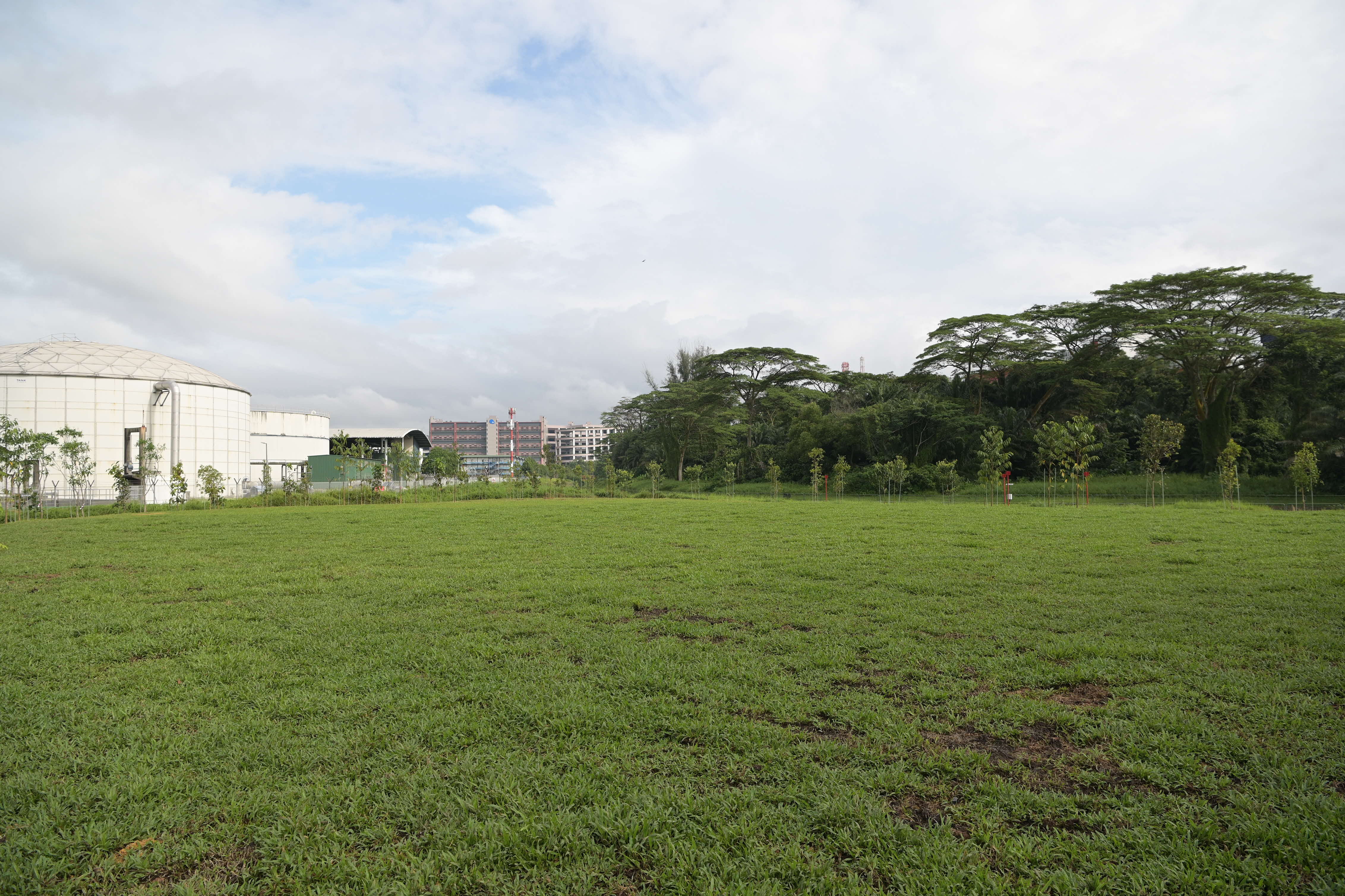 A large grassy field with trees in the background, an industrial building on the left, and apartment buildings in the distance.